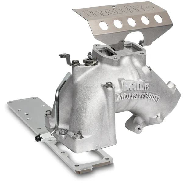 Banks Power Cummins Ram Air Intake System RAW